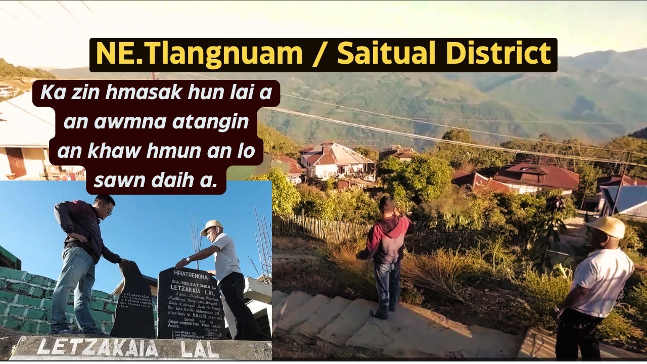 NE.Tlangnuam / Saitual District fanna