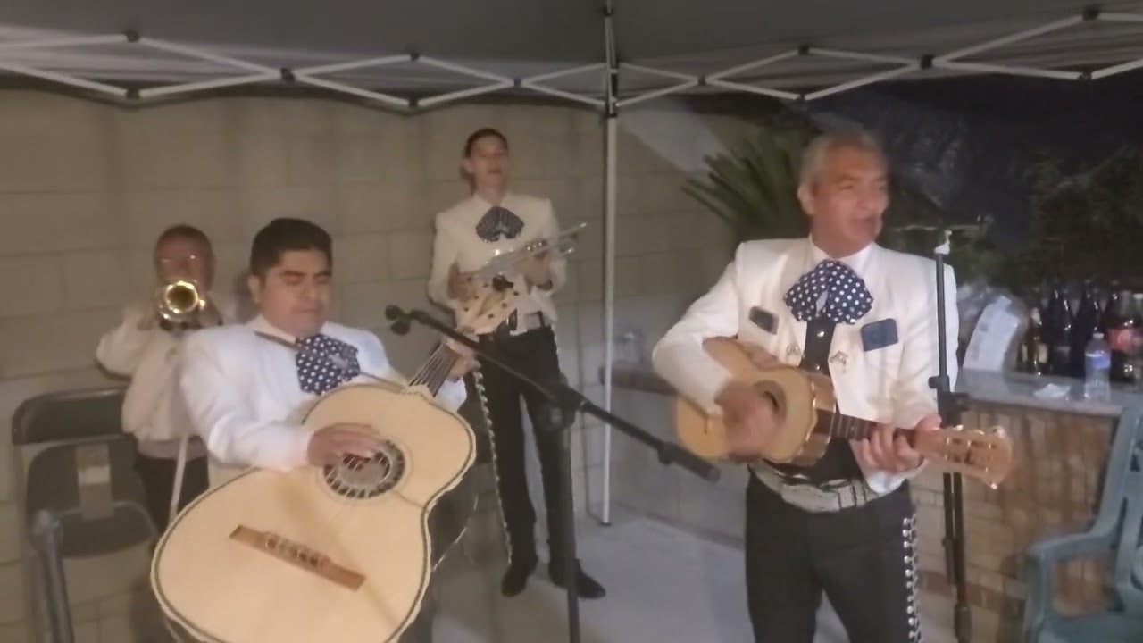 mariachi Nuevo Guadalajara viva quien save querer