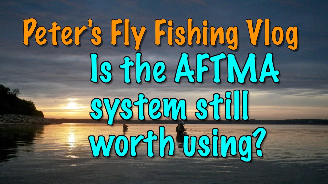 Остается ли шкала AFTMA полезной?