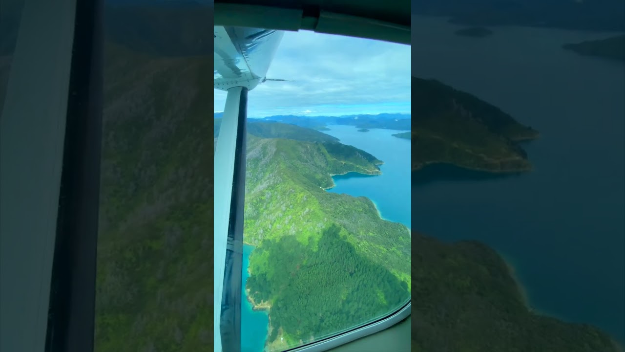 Beautiful Scenery Flight from Wellington to South Island Picton #shorts #wellington #picton