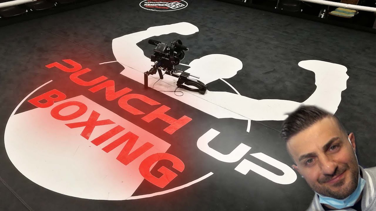 Profiboxen - Punch Up Boxing