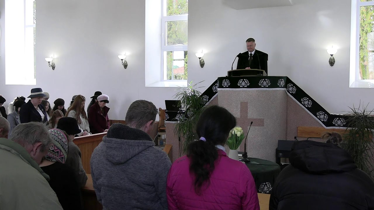 Gyógyító tanács