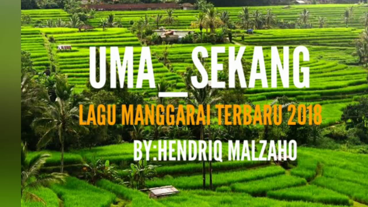 Wow mantap_lagu manggarai terbaru 2018_-_UMA_SEKANG_-_BY:HENDRIQ MALZAHO