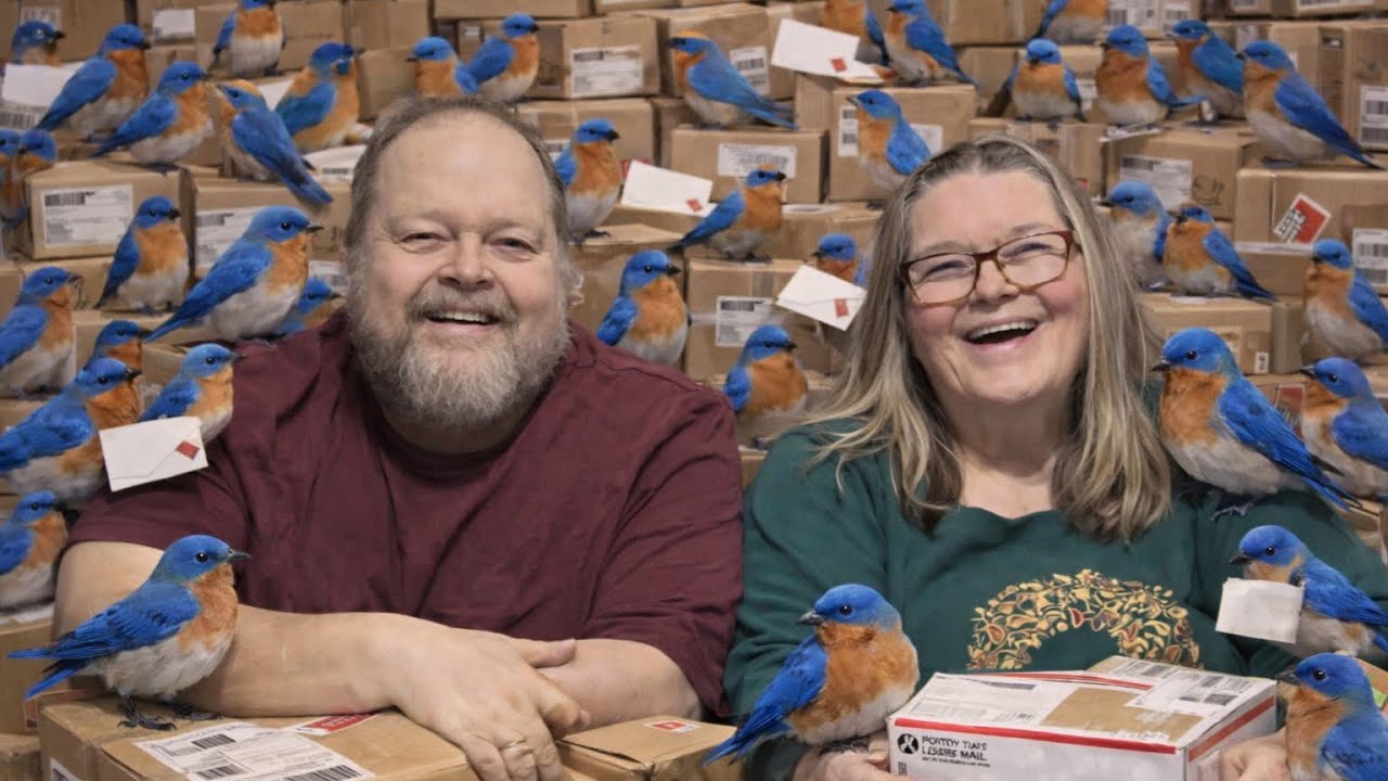 Bluebird Liquidation Mystery Box Part 1