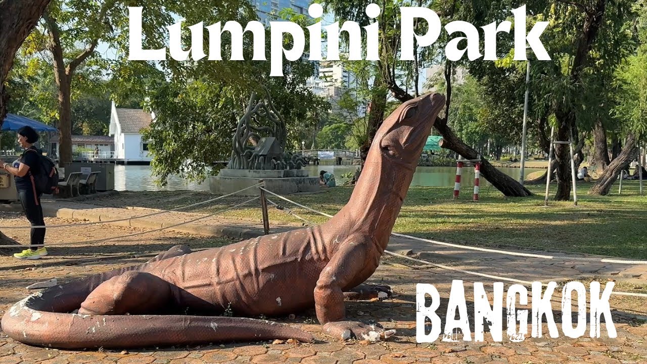 Wildlife in the Heart of Bangkok: Lumpini Park’s Monitor Lizards