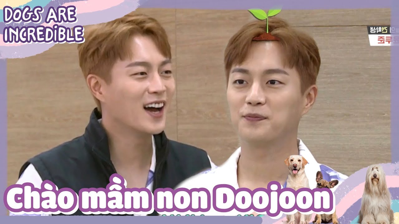 [CCTG Tập 35 #1]ENG/VIETSUB|Highlight Doojoon tới CCTG tái hòa nhập cộng đồng đây|200706 KBS WORLD