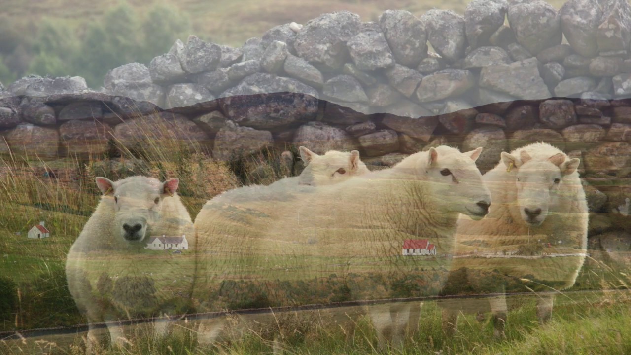North Tup Tour