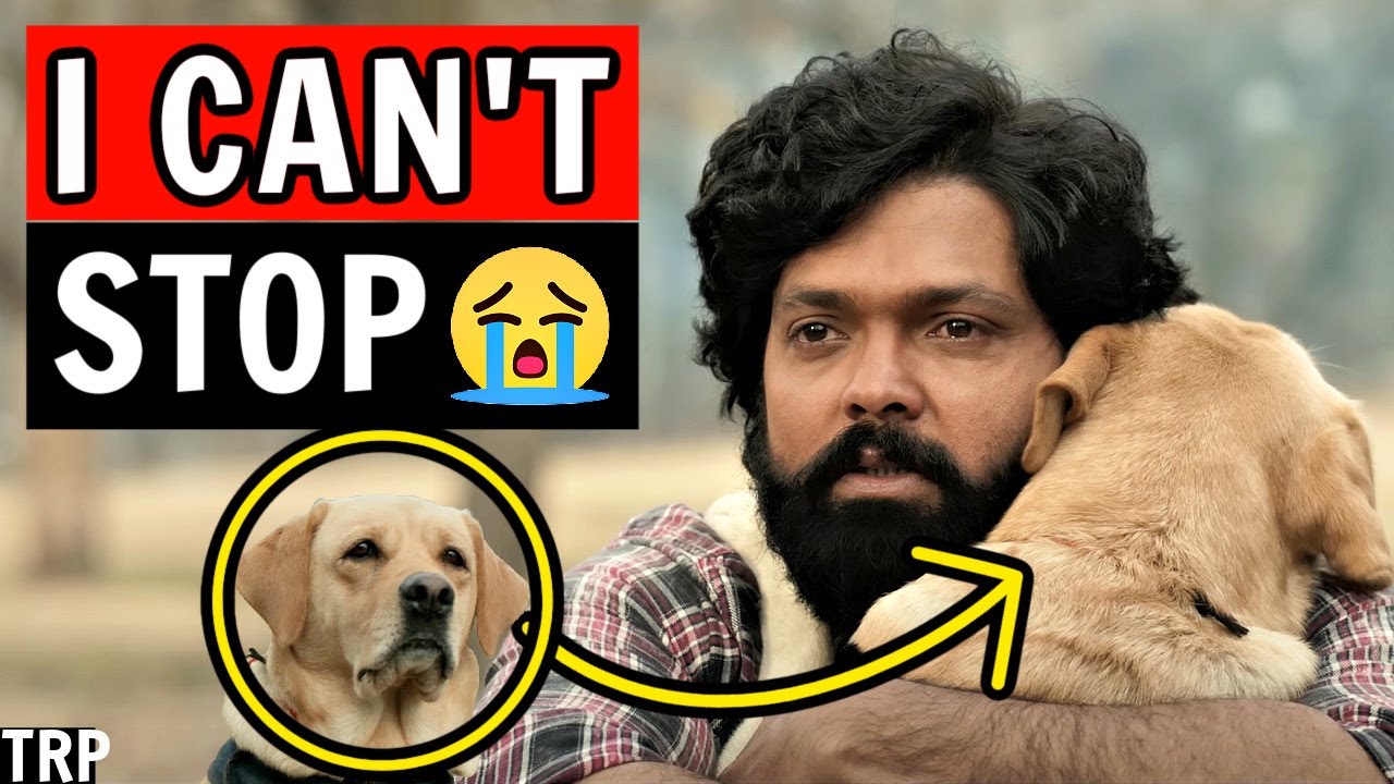 777 Charlie Movie Review & Analysis | Rakshit Shetty | Kiranraj K
