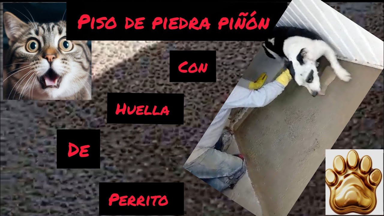Planilla con piedra piñón 