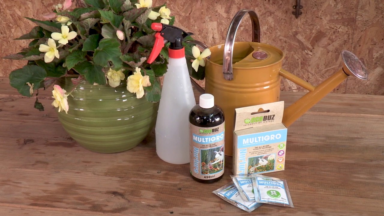 Ecobuz Multi Gro
