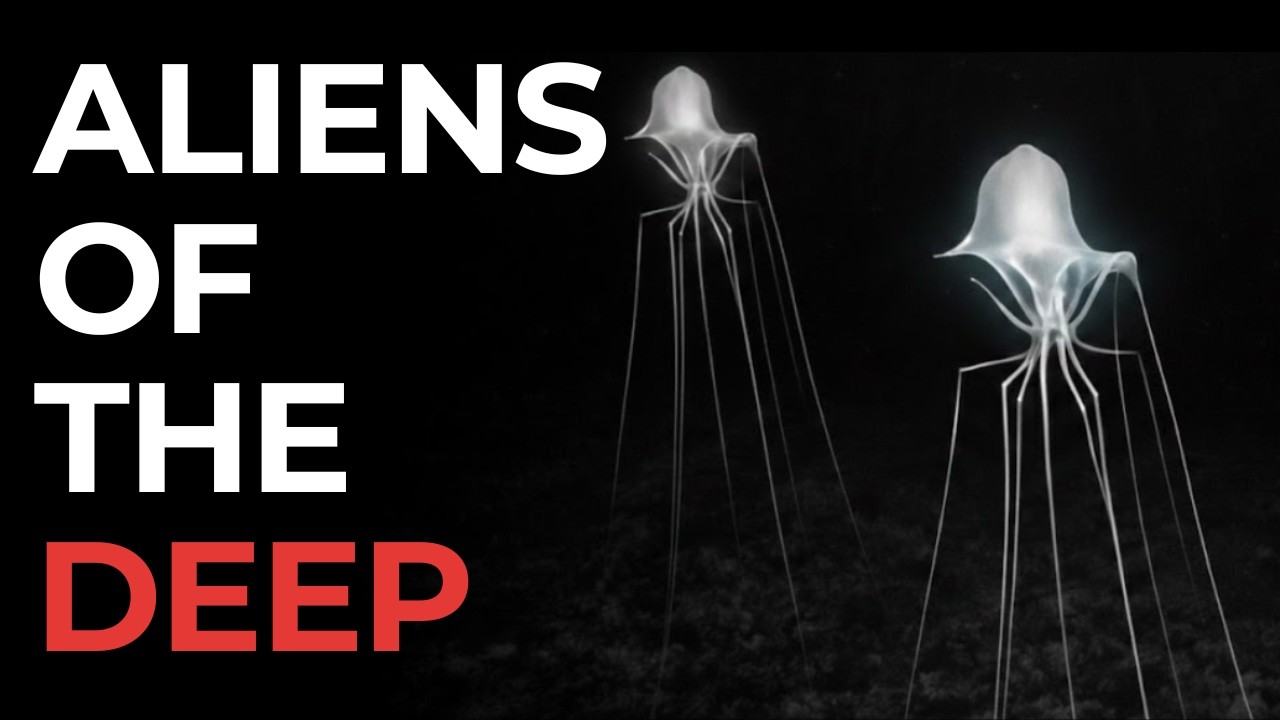 Why Evolution Lost Control in the Mariana Trench