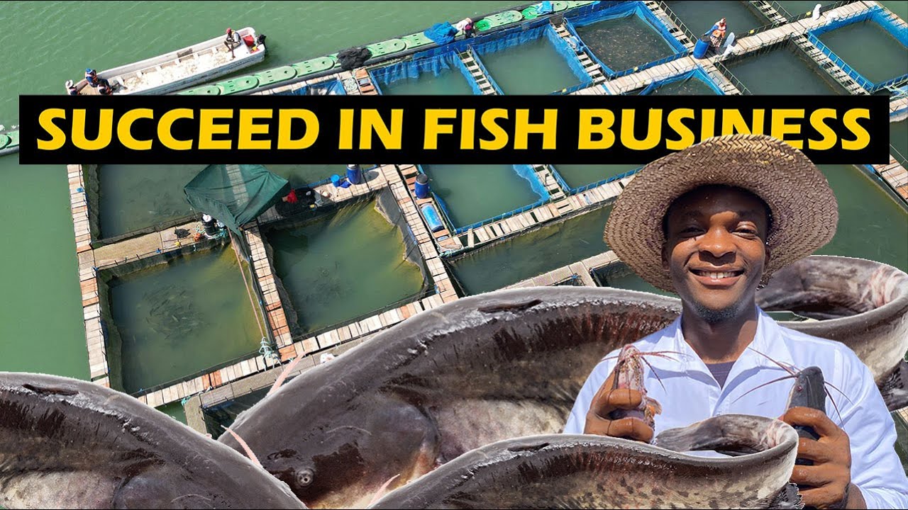 7 Secrets to a Profitable Fish Business
