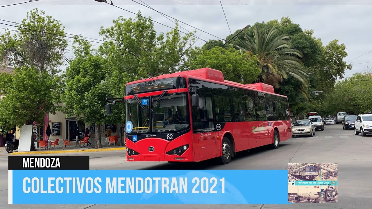Colectivos del MendoTran (Electricos BYD-Zhongtong y otros) 2021