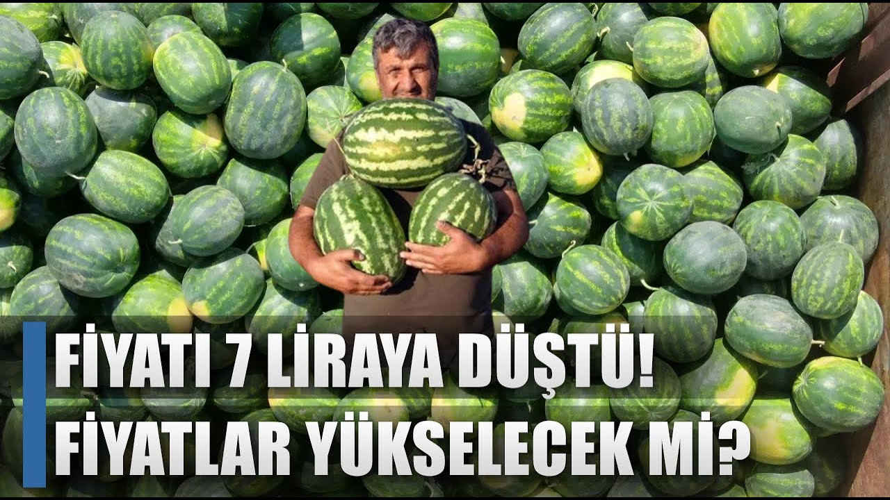 Adana'da Karpuz Fiyatı 7 Liraya Düştü! Çiftçi Para Kazanacak Mı? / AGRO TV HABER