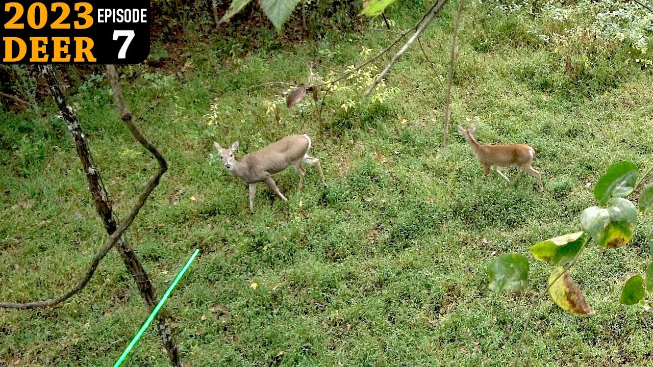 Hunting a New Spot I've Never Hunted Before (TN Public Land)