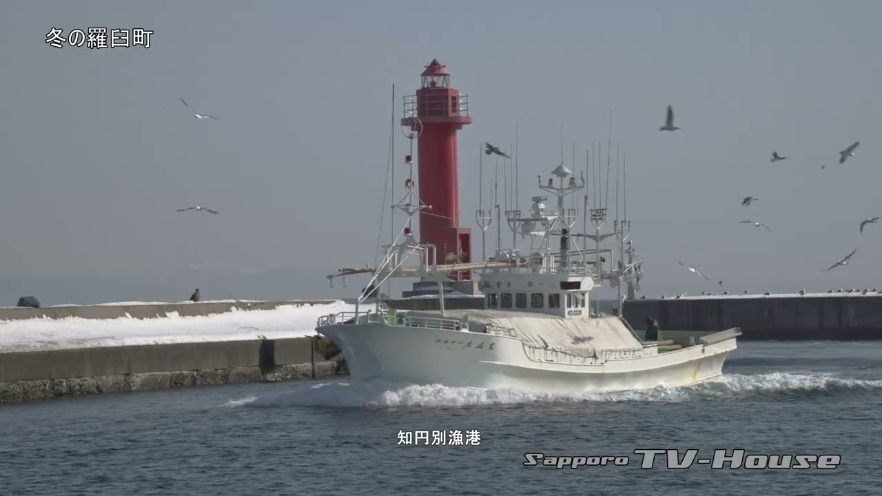 冬の羅臼町 Rausu-cho in Winter