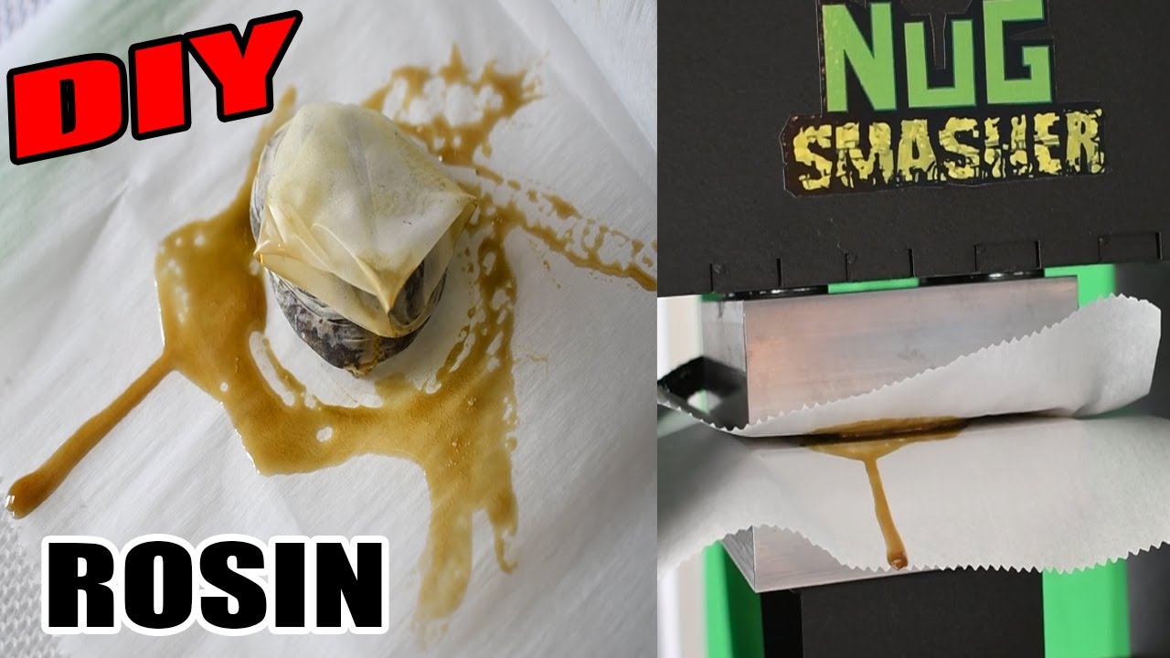 DIY ROSIN TUTORIAL: Pressing Half Oz With NUGSMASHER