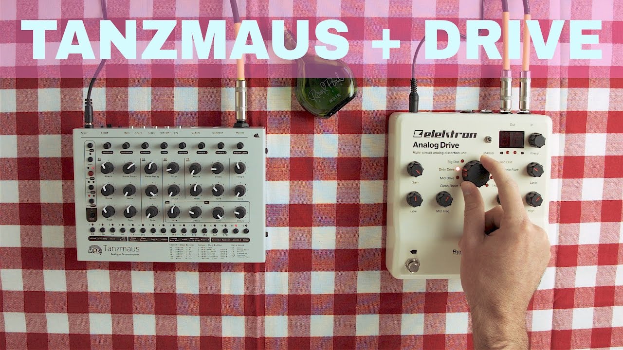 MFB TANZMAUS + ELEKTRON ANALOG DRIVE ~ Will They Pair? Ep.03