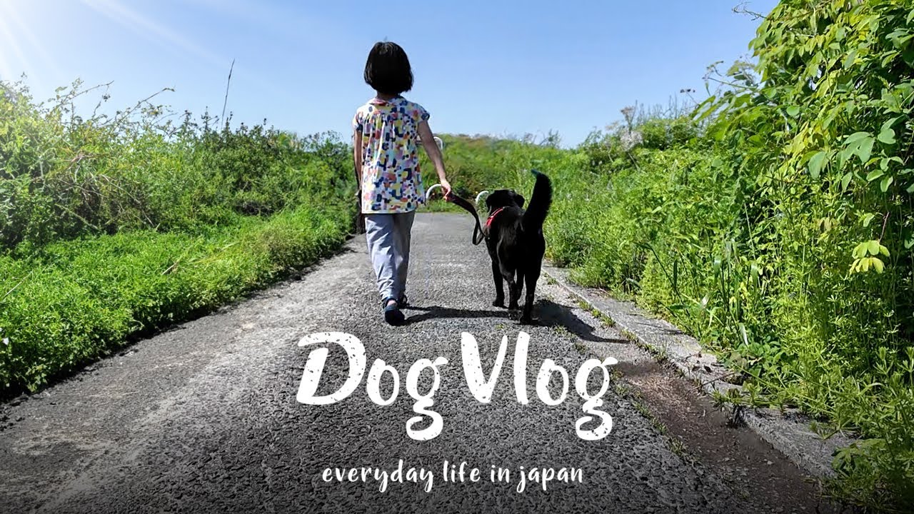 【犬Vlog】田舎の子どもと保護犬のゆるやかな一日。