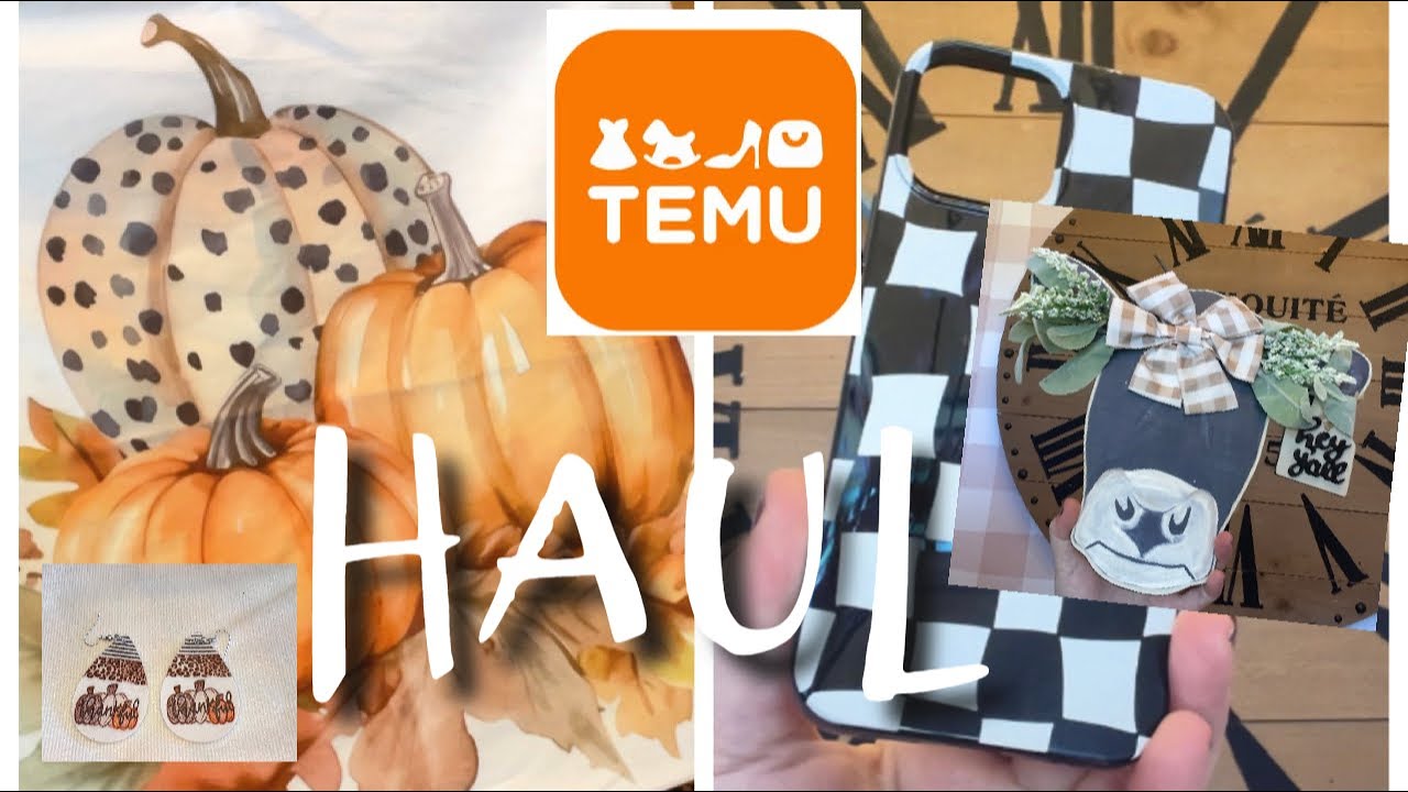 MY FIRST TEMU HAUL 2023 | SHOP WITH ME AT TEMU