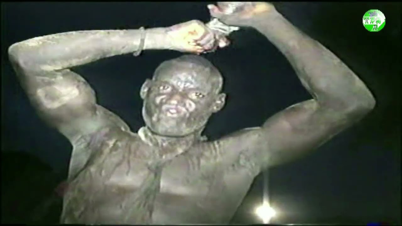 Rétro lamb Mar Fafaco