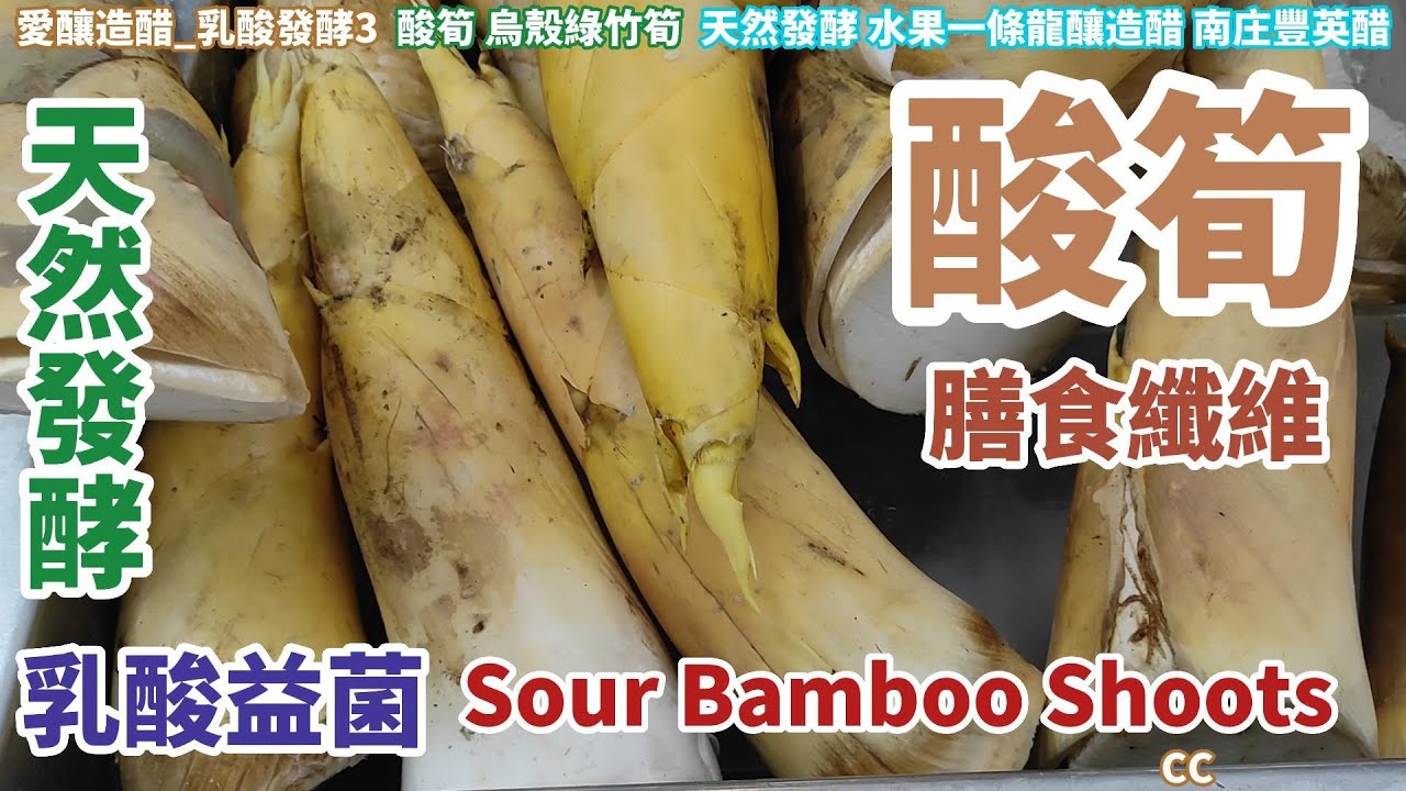 一定酸 原創_酸筍 乳酸天然發酵 酸又沒有亞硝酸鹽 烏殼綠竹筍Sour Bamboo Shoots乳酸益菌 膳食纖維 酸っぱいタケノコ[愛釀造醋_乳酸發酵3]台灣南庄豐英醋
