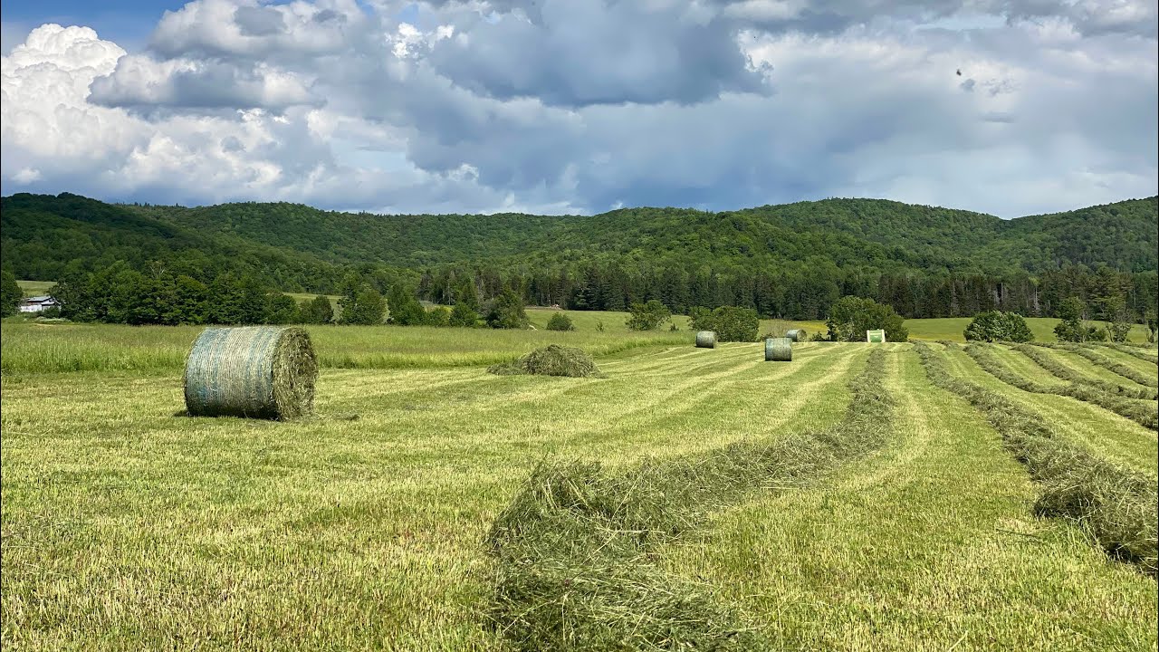Baling Silage Rounds for our Cattle