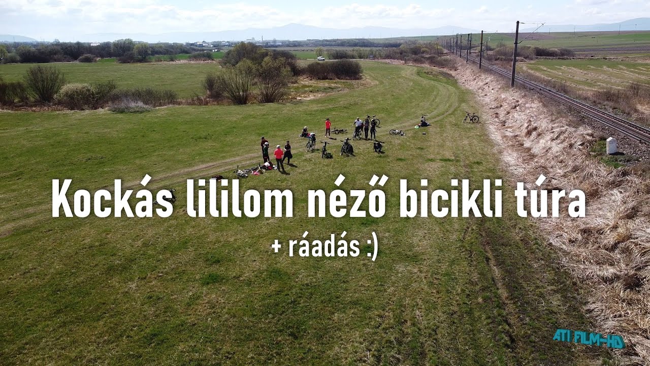 Kockás liliom néző Gyergyószéki-EKE biciklitúra, Remete környékén 2024 (ATI FILM)