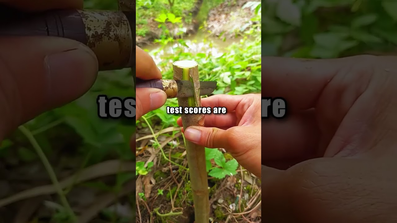 What made you finally stand up to your parents?