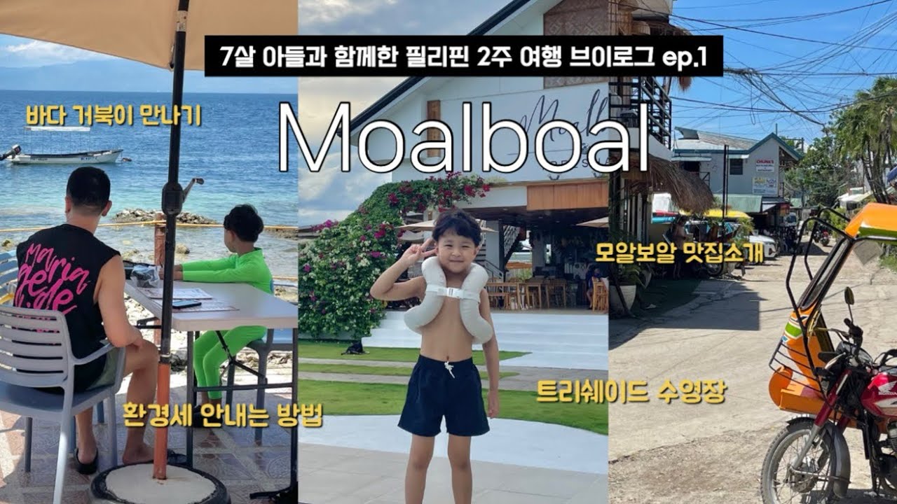 거북아 반가워🐢 필리핀 세부 모알보알 아이와 떠난 여행 VLOG #1 (트리쉐이드, 파낙사마비치, 맛집 소개)