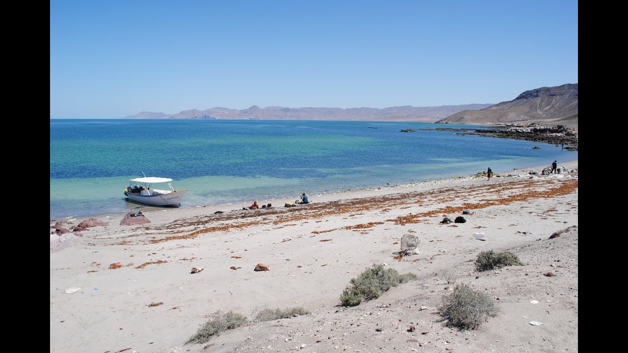 Kino Bay in Motion