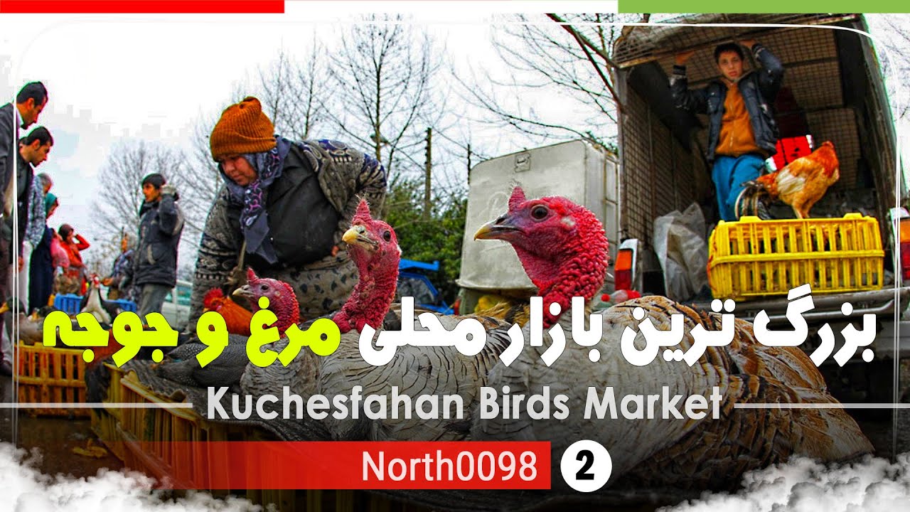 بازار محلی مرغ و جوجه کوچصفهان رشت,گیلان,شمال ایران - Kuchesfahan Birds Market,Gilan,North of Iran
