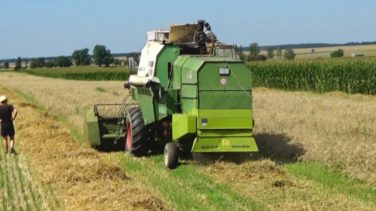 Aratás 2016 - Harvest - Żniwa - Ernte