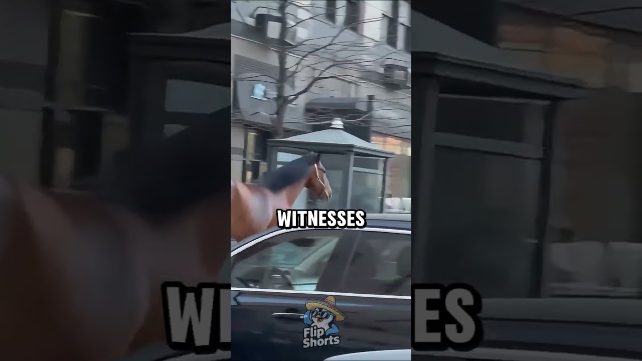 Wild horse chaos caught on camera 🐎😱