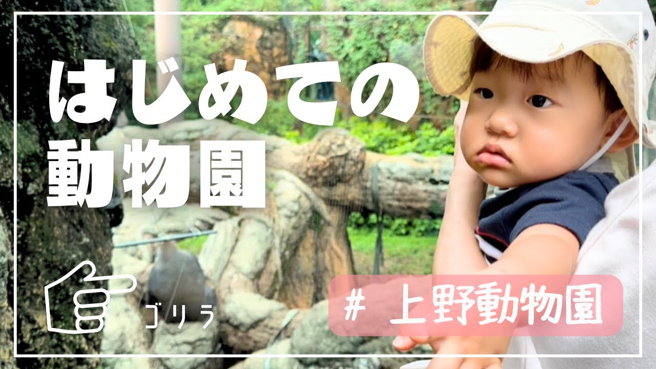 【1歳9ヶ月】上野動物園👦パンダ待ち時間は80分⁉︎🐼今回は諦めた😂キリンは見れたよ🦒