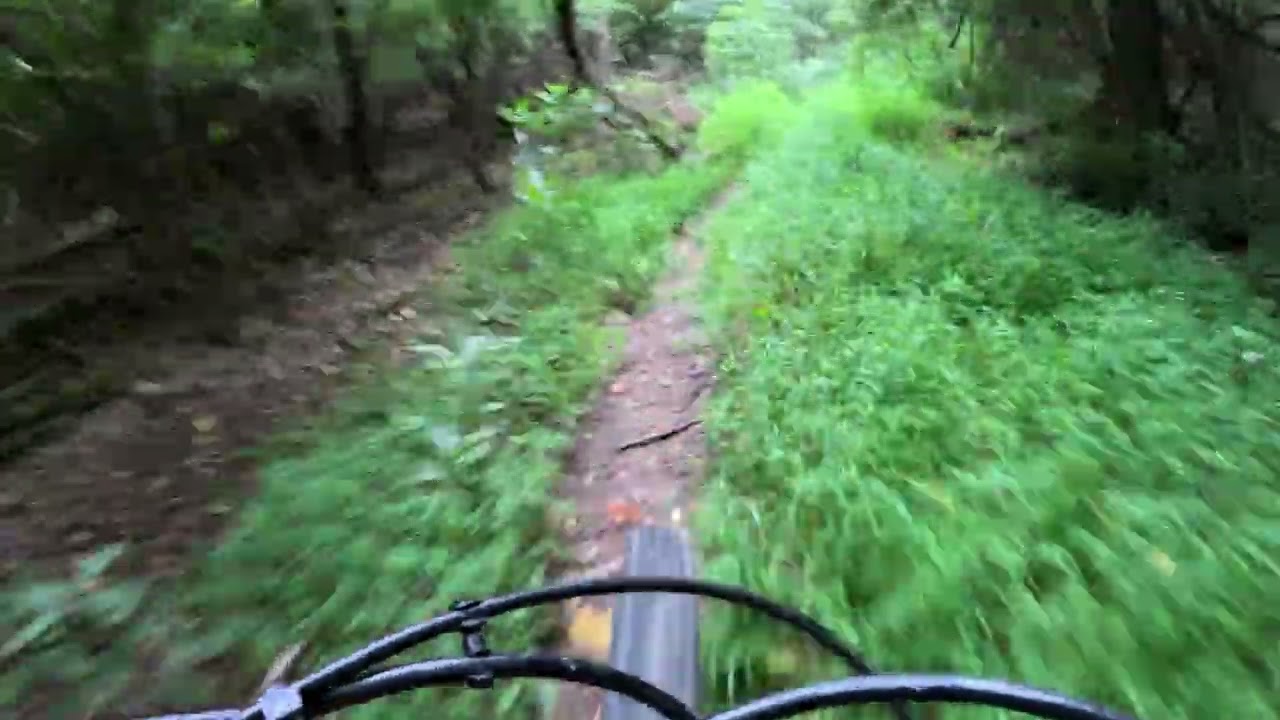 MTB Sewickley Hoot Owl Trail up and down on 080525