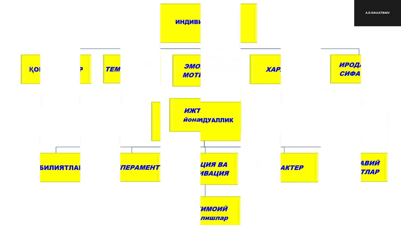 7-МАРУЗА_ФАН: ANATOMY AND PHYSIOLOGY OF THE CENTRAL NERVOUS SYSTEM_PSY
