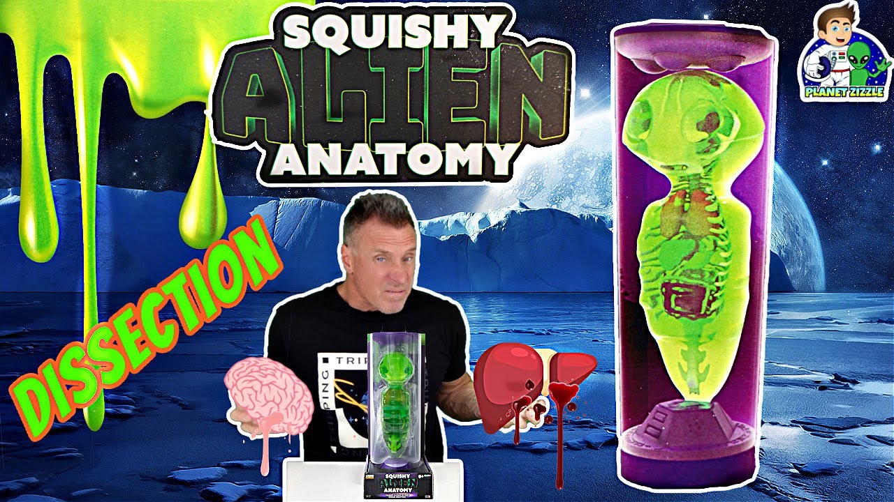 Weird Science Squishy Alien Chamber Anatomy Dissection