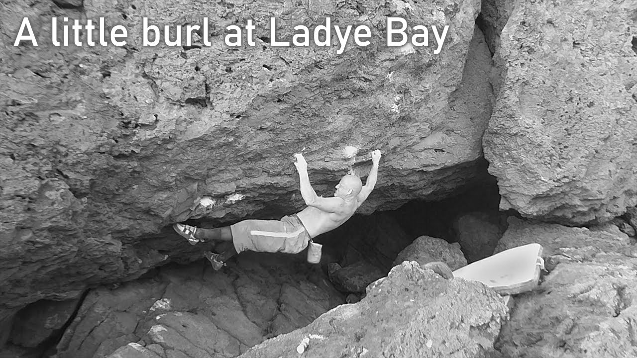 A Little Burl at Ladye Bay
