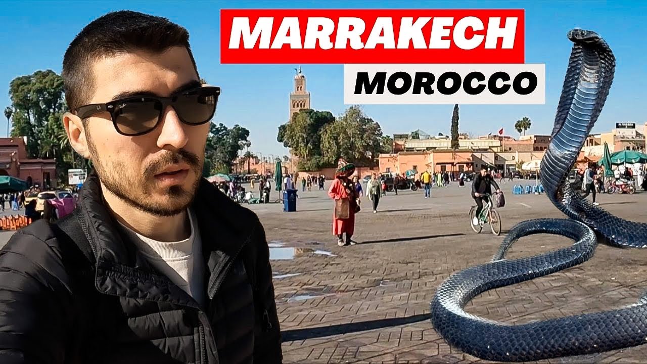 Jardin Majorelle'de Bir Gün! - MARAKEŞ, FAS (Meydan, Yerel Pazar, Bahçe ve Saray) | #24