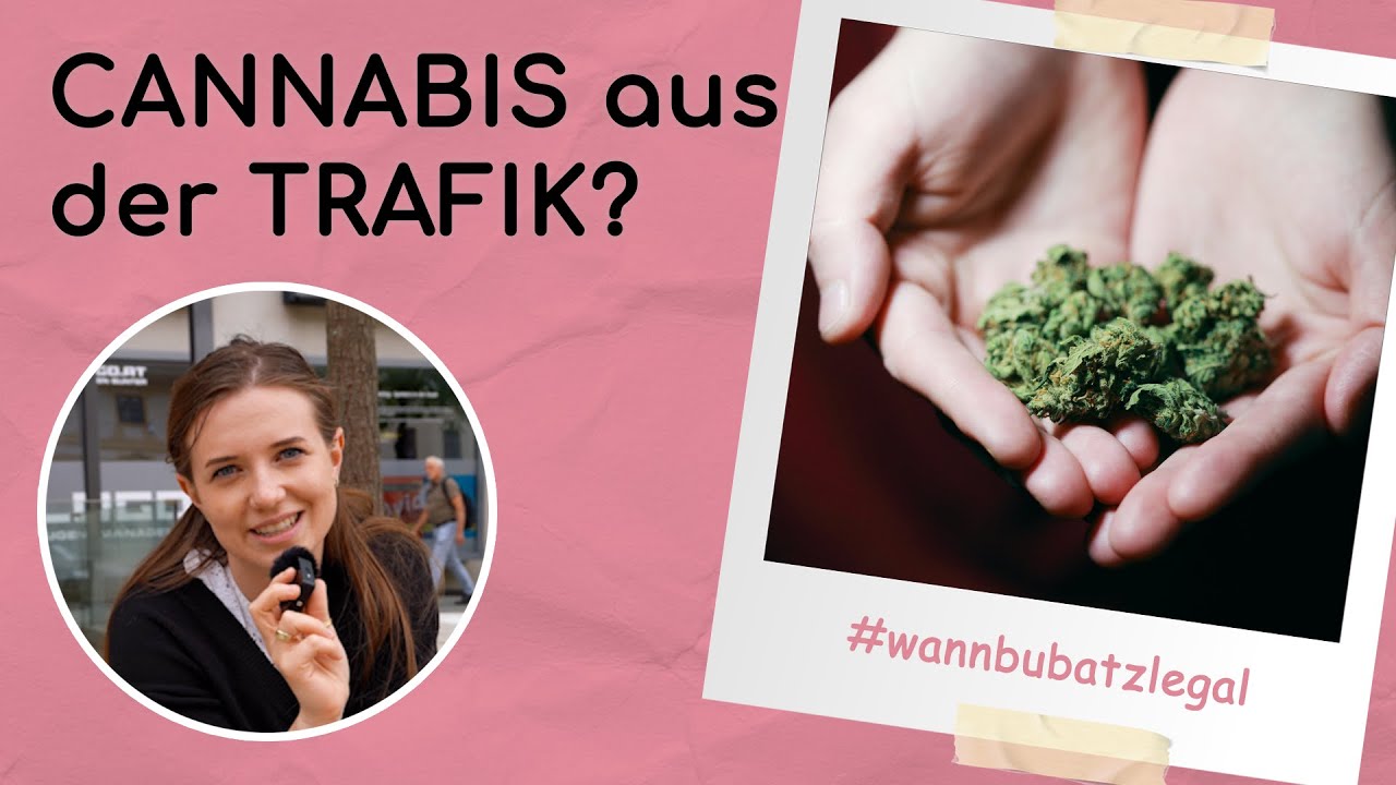 Cannabis aus der Trafik?! Was in Österreich jetzt erlaubt ist | POLITISCH AKTUELL