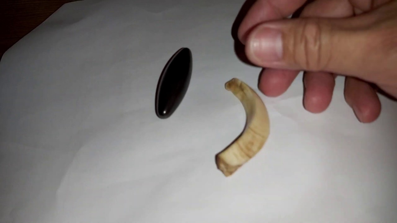 Pov haum kaug npua teb