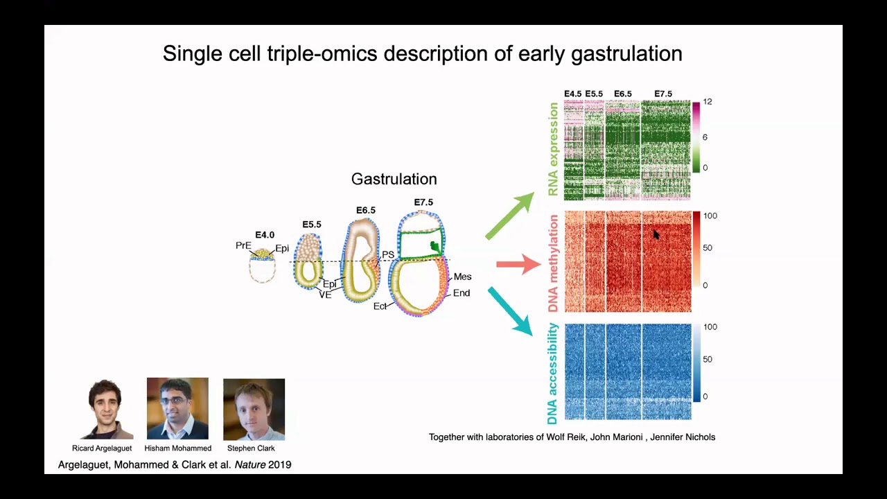 Computational single-cell biology from one to many cells - Oliver Stegle - MLCSB - ISMB 2020