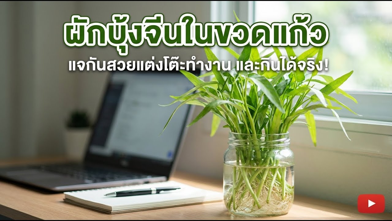 Morning Glory ในขวดโหล: ไม้ประดับโต๊ะทำงานที่กินได้!