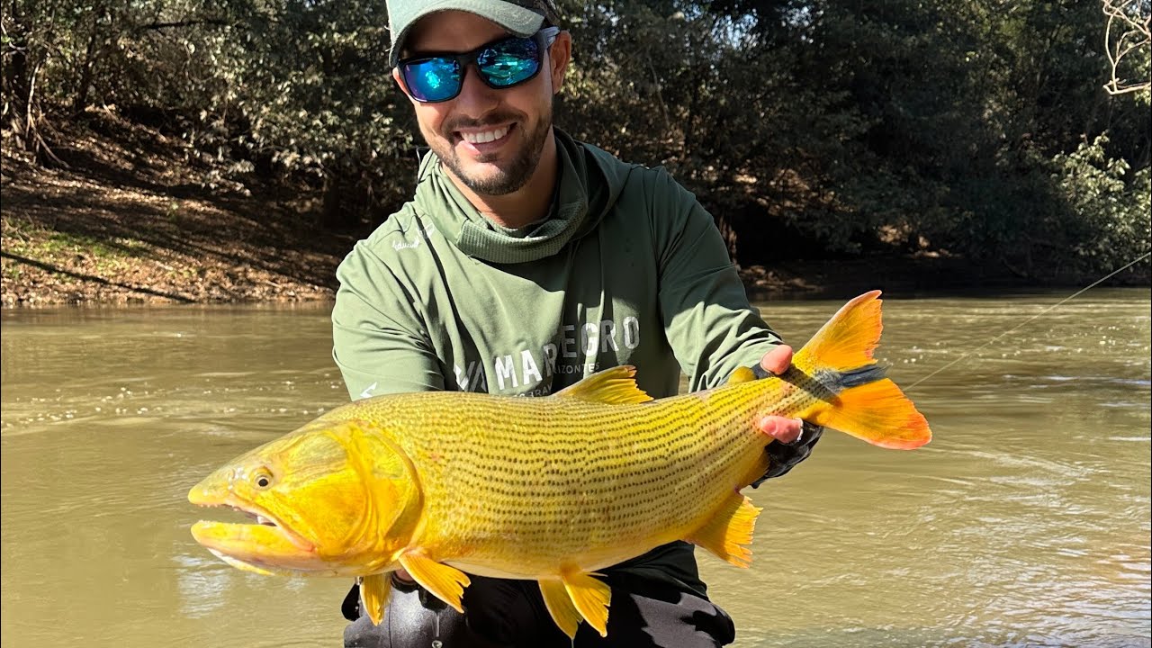 ESSE RIO ESTÁ CHEIO DE DOURADOS | RIO PRETO| PESCARIA