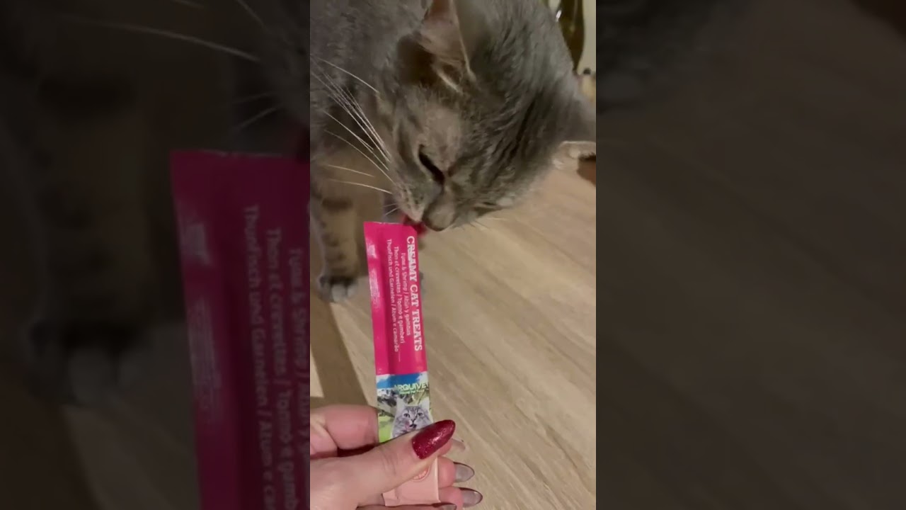 Nuevos creamys salmón