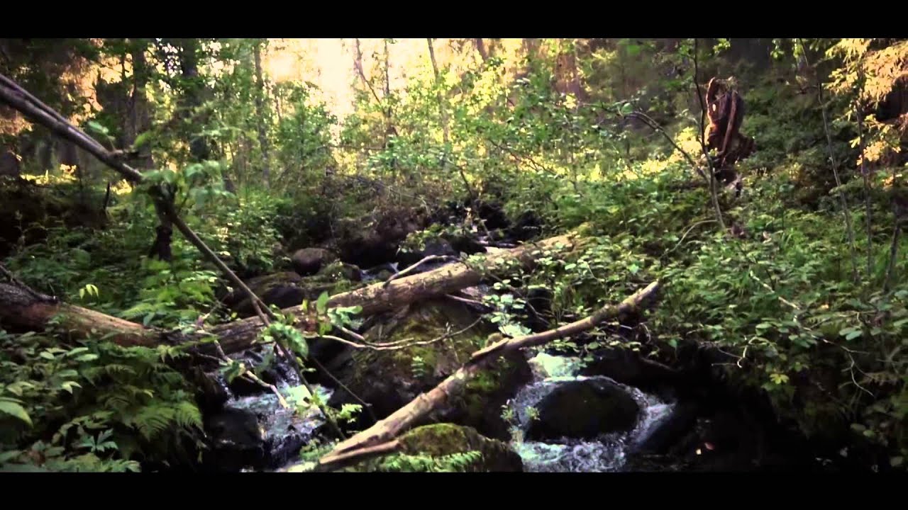 Deviate - Nikon D5500