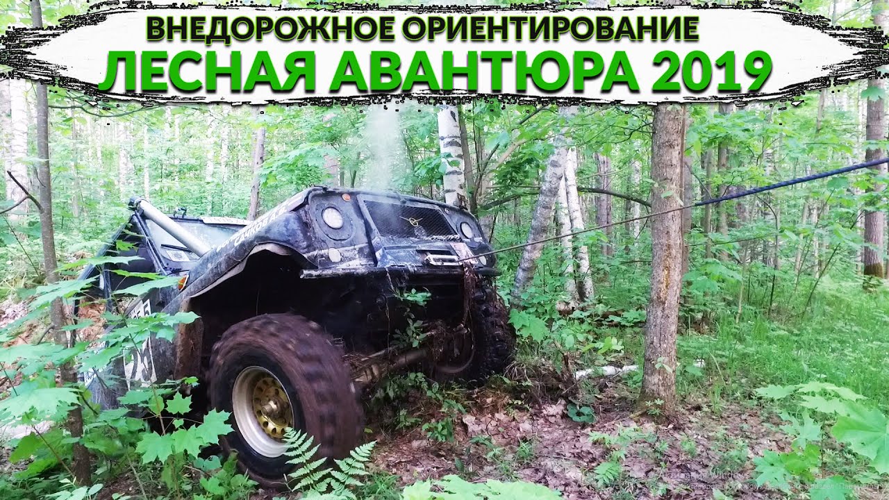 ТРОФИ ОРИЕНТИРОВАНИЕ ЛЕСНАЯ АВАНТЮРА 2019
