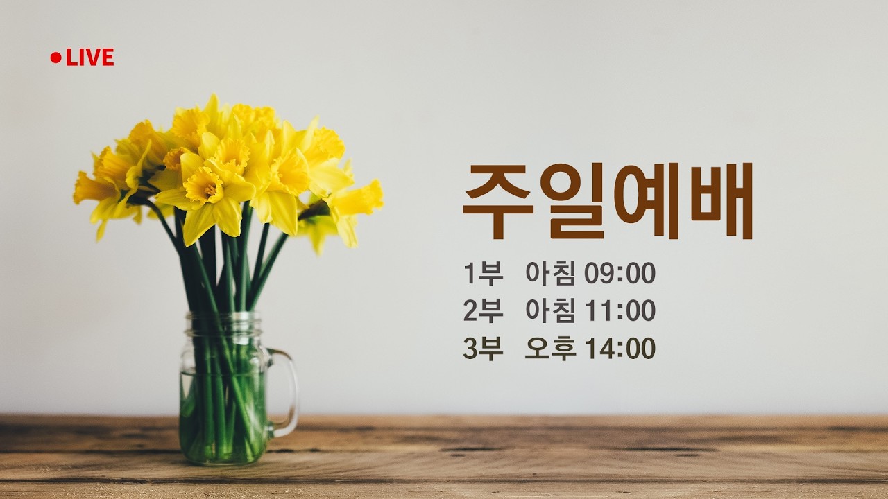 2026. 03. 15. 빛의교회 주일예배 LIVE 3부