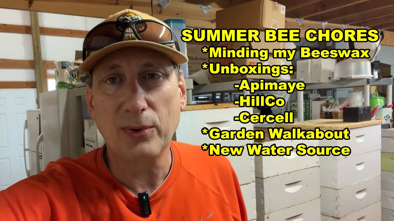 Summer Bee Chores, Wax Balls, Unboxing & Garden Walkabout S8E28